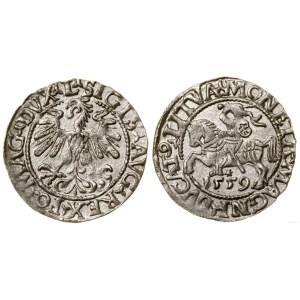 Polen, litauischer Halbpfennig, 1559, Vilnius