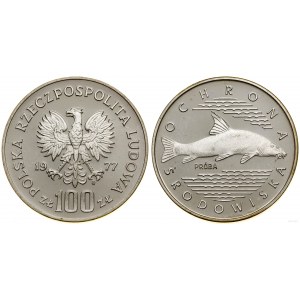 Polska, 100 złotych, 1977, Warszawa