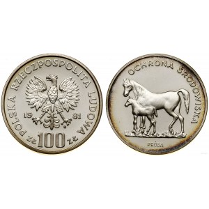 Polen, 100 Zloty, 1981, Warschau