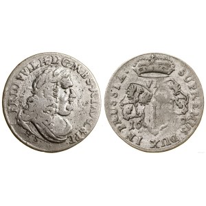 Niemcy, szóstak, 1679 HS, Królewiec