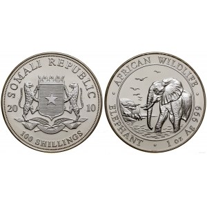 Somalia, 100 shillings, 2010