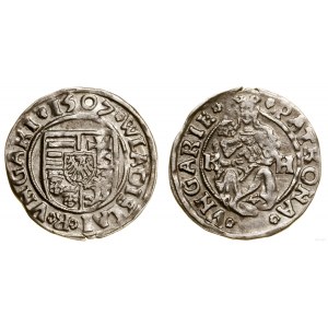 Węgry, denar, 1507, Kremnica