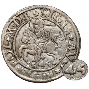 Zygmunt II August, Półgrosz Wilno 1545 - SIGIS przy Pogoni