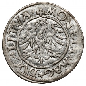 Zygmunt II August, Półgrosz Wilno 1545 - SIGIS przy Pogoni