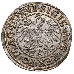 Zygmunt II August, Półgrosz Wilno 1547