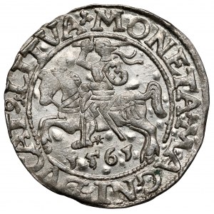 Zygmunt II August, Półgrosz Wilno 1561