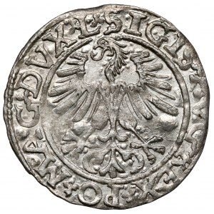 Zygmunt II August, Półgrosz Wilno 1561