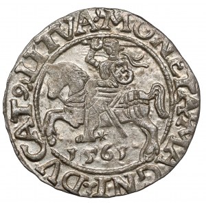 Zygmunt II August, Półgrosz Wilno 1561