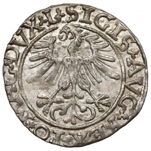 Zygmunt II August, Półgrosz Wilno 1561