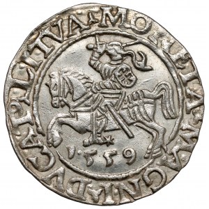 Zygmunt II August, Półgrosz Wilno 1559 - LITVA