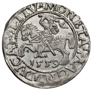 Zygmunt II August, Półgrosz Wilno 1559
