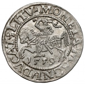 Zygmunt II August, Półgrosz Wilno 1559
