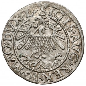 Zygmunt II August, Półgrosz Wilno 1559