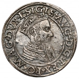 Zygmunt II August, Czworak Wilno 1566