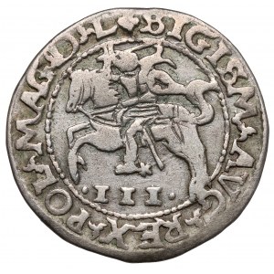 Zygmunt II August, Trojak Tykocin 1566 - szyderczy