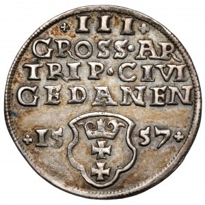 Zygmunt II August, Trojak Gdańsk 1557
