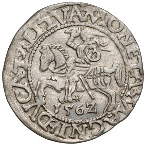 Zygmunt II August, Półgrosz Wilno 1562