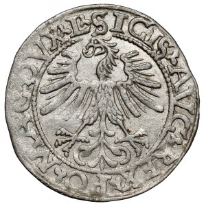 Zygmunt II August, Półgrosz Wilno 1562