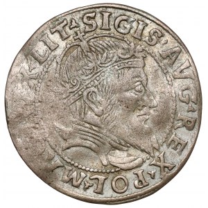 Zygmunt II August, Grosz na stopę litewską 1555, Wilno