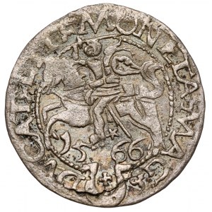 Zygmunt II August, Półgrosz Tykocin 1566 - Jastrzębiec