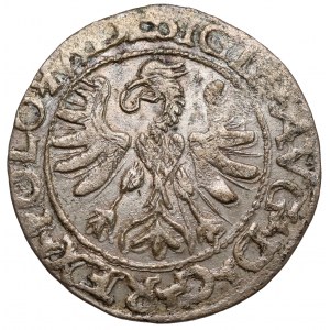 Zygmunt II August, Półgrosz Tykocin 1566 - Jastrzębiec