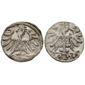 Zygmunt II August, Denary Wilno 1557 i 1558 - zestaw (2szt)