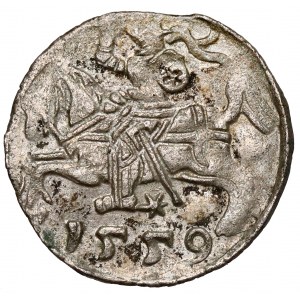 Zygmunt II August, Denar Wilno 1559