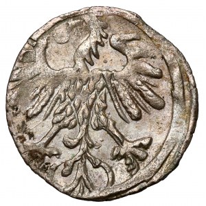 Zygmunt II August, Denar Wilno 1559