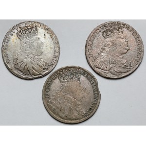 August III Sas, Ort Lipsk 1753-1754 EC, w tym RZADKI - zestaw (3szt)