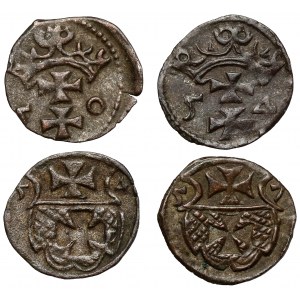 Zygmunt II August, Denary Gdańsk i Elbląg 1550-1557 - zestaw (4szt)