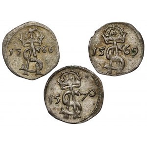 Zygmunt II August, Dwudenary Wilno 1566-1570 - zestaw (3szt)
