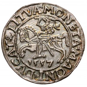 Zygmunt II August, Półgrosz Wilno 1557