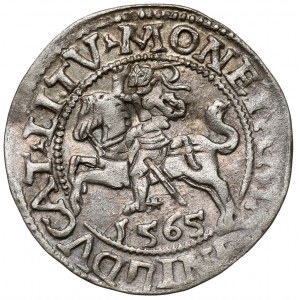 Zygmunt II August, Półgrosz Wilno 1565