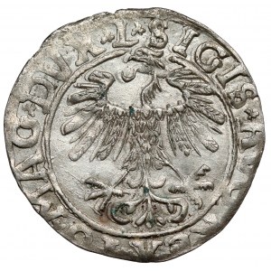 Zygmunt II August, Półgrosz Wilno 1558