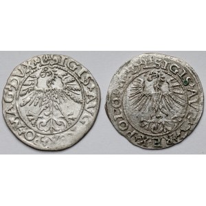 Zygmunt II August, Półgrosz Wilno 1561 i 1564 - zestaw (2szt)