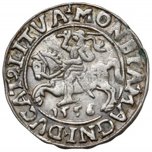 Zygmunt II August, Półgrosz Wilno 1556