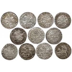 Zygmunt II August, Półgrosze Wilno 1546-1561 - zestaw (11szt)