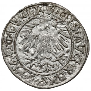 Zygmunt II August, Półgrosz Wilno 1556