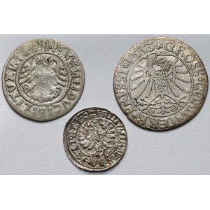 Zygmunt I i Jerzy Wilhelm, od szeląga do grosza - zestaw (3szt)