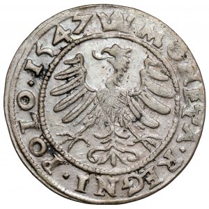 Zygmunt I Stary, Grosz Kraków 1547 ST