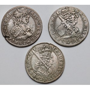 Prusy-Brandenburgia, Friedrich Wilhelm I, Ort 1684-1699 Königsberg - zestaw (3szt)