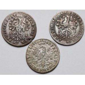 Prusy-Brandenburgia, Friedrich Wilhelm I, Ort 1684-1699 Königsberg - zestaw (3szt)