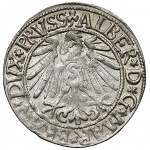 Prusy, Albrecht Hohenzollern, Grosz Królewiec 1545