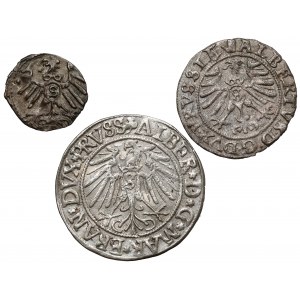 Prusy, Albert Hohenzollern, Denar, szeląg i grosz 1542-1559 - zestaw (3szt)
