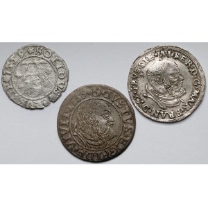 Prusy, Albert Hohenzollern, Szeląg, Grosz i Trojak Królewiec - zestaw (3szt)