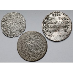Prusy, Albert Hohenzollern, Szeląg, Grosz i Trojak Królewiec - zestaw (3szt)