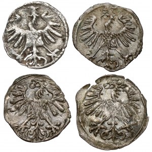 Zygmunt II August, Denar Wilno 1551-1563 - zestaw (4szt)