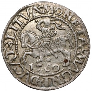 Zygmunt II August, Półgrosz Wilno 1560 - A bez belki