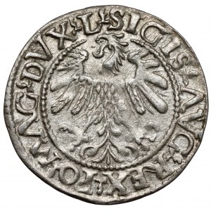 Zygmunt II August, Półgrosz Wilno 1560 - A bez belki