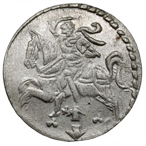Zygmunt III Waza, Dwudenar Wilno 1609